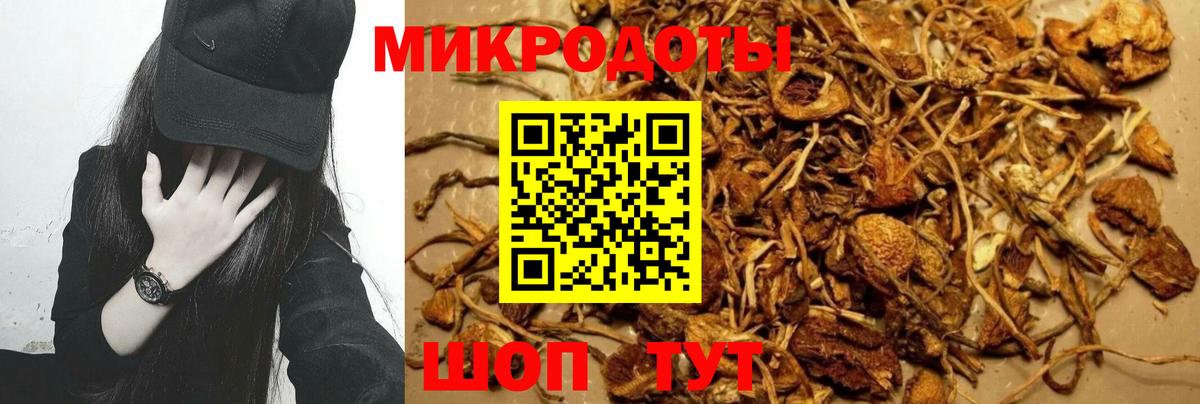купить наркоту  Вход с VPN  Орёл  Псилоцибиновые грибы MAGIC MUSHROOMS  Псилоцибиновые грибы Psilocybine cubensis 